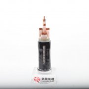 Low Voltage Power Cable